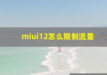 miui12怎么限制流量