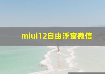 miui12自由浮窗微信