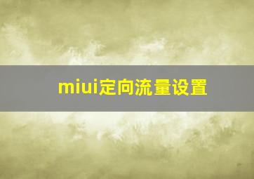 miui定向流量设置