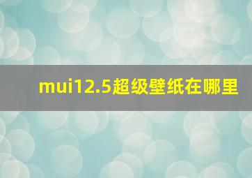 mui12.5超级壁纸在哪里