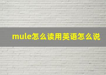 mule怎么读用英语怎么说