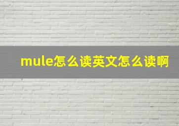 mule怎么读英文怎么读啊