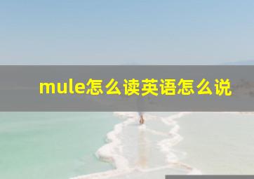 mule怎么读英语怎么说