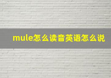 mule怎么读音英语怎么说