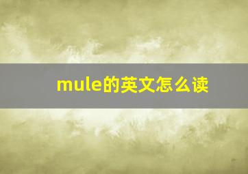 mule的英文怎么读