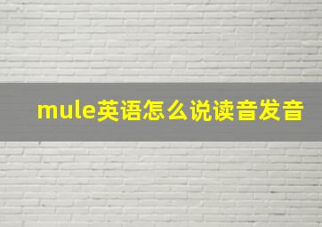 mule英语怎么说读音发音