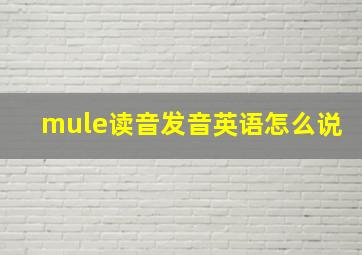 mule读音发音英语怎么说