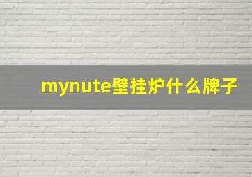 mynute壁挂炉什么牌子