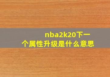 nba2k20下一个属性升级是什么意思