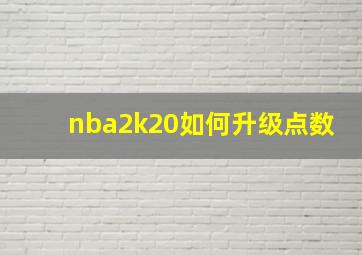 nba2k20如何升级点数