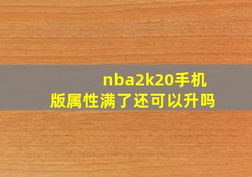 nba2k20手机版属性满了还可以升吗