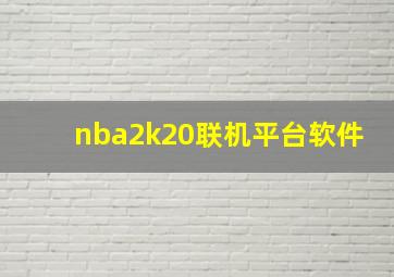 nba2k20联机平台软件