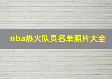 nba热火队员名单照片大全