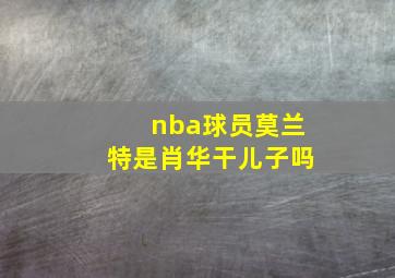 nba球员莫兰特是肖华干儿子吗