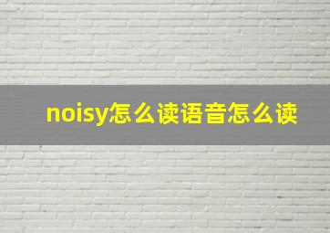 noisy怎么读语音怎么读