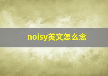 noisy英文怎么念