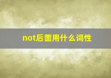 not后面用什么词性