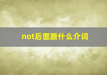 not后面跟什么介词