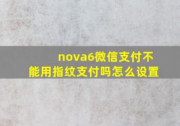 nova6微信支付不能用指纹支付吗怎么设置