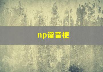 np谐音梗