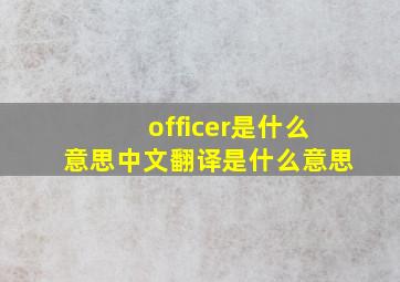 officer是什么意思中文翻译是什么意思