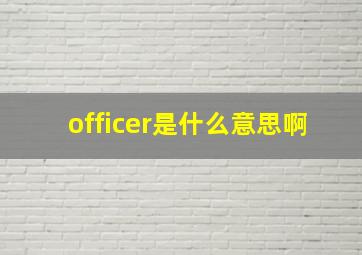 officer是什么意思啊