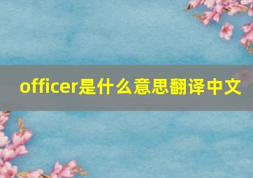 officer是什么意思翻译中文