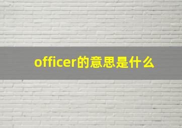 officer的意思是什么