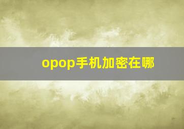 opop手机加密在哪