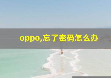 oppo,忘了密码怎么办