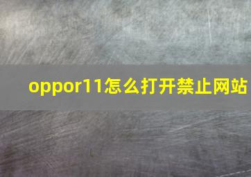 oppor11怎么打开禁止网站