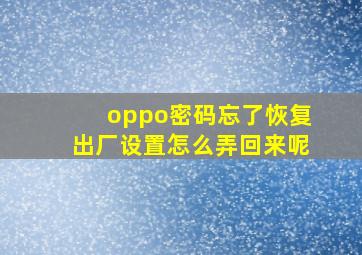 oppo密码忘了恢复出厂设置怎么弄回来呢