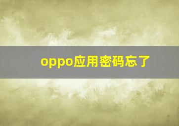 oppo应用密码忘了