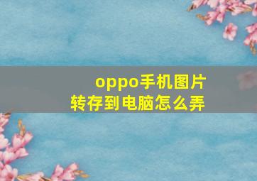 oppo手机图片转存到电脑怎么弄