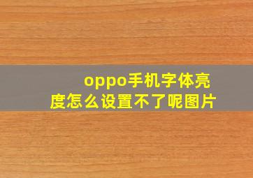 oppo手机字体亮度怎么设置不了呢图片