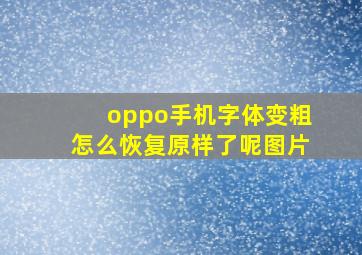 oppo手机字体变粗怎么恢复原样了呢图片