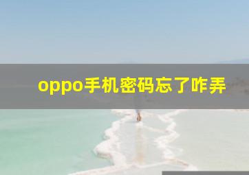 oppo手机密码忘了咋弄