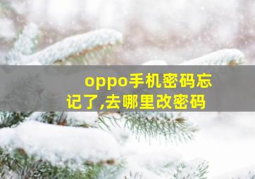 oppo手机密码忘记了,去哪里改密码