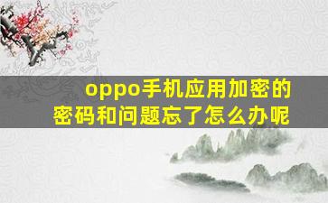 oppo手机应用加密的密码和问题忘了怎么办呢