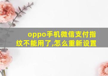 oppo手机微信支付指纹不能用了,怎么重新设置