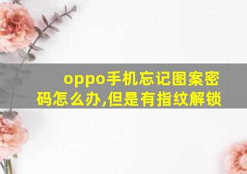 oppo手机忘记图案密码怎么办,但是有指纹解锁