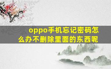 oppo手机忘记密码怎么办不删除里面的东西呢