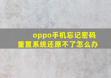 oppo手机忘记密码重置系统还原不了怎么办