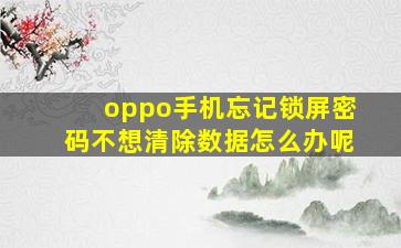 oppo手机忘记锁屏密码不想清除数据怎么办呢