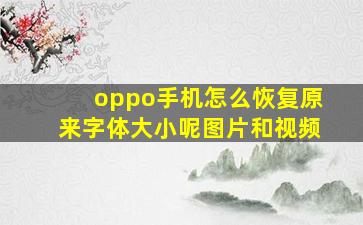 oppo手机怎么恢复原来字体大小呢图片和视频