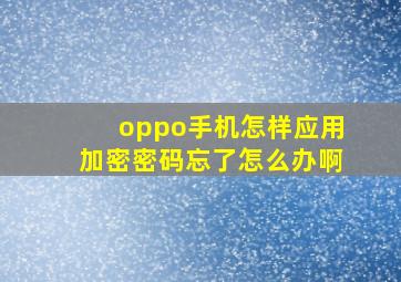 oppo手机怎样应用加密密码忘了怎么办啊