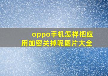 oppo手机怎样把应用加密关掉呢图片大全