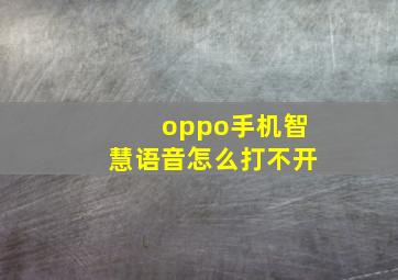 oppo手机智慧语音怎么打不开