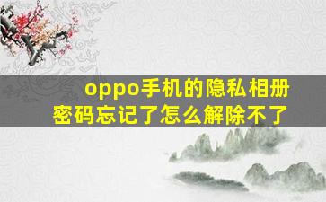 oppo手机的隐私相册密码忘记了怎么解除不了