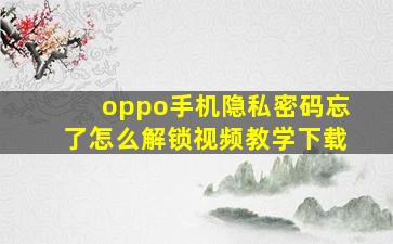 oppo手机隐私密码忘了怎么解锁视频教学下载